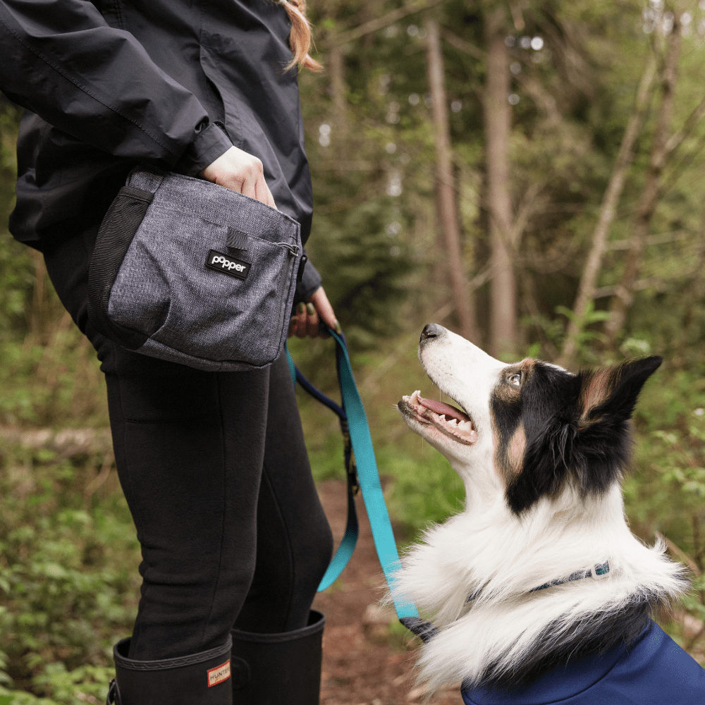 Focus Treat Pouch by Popper Pets