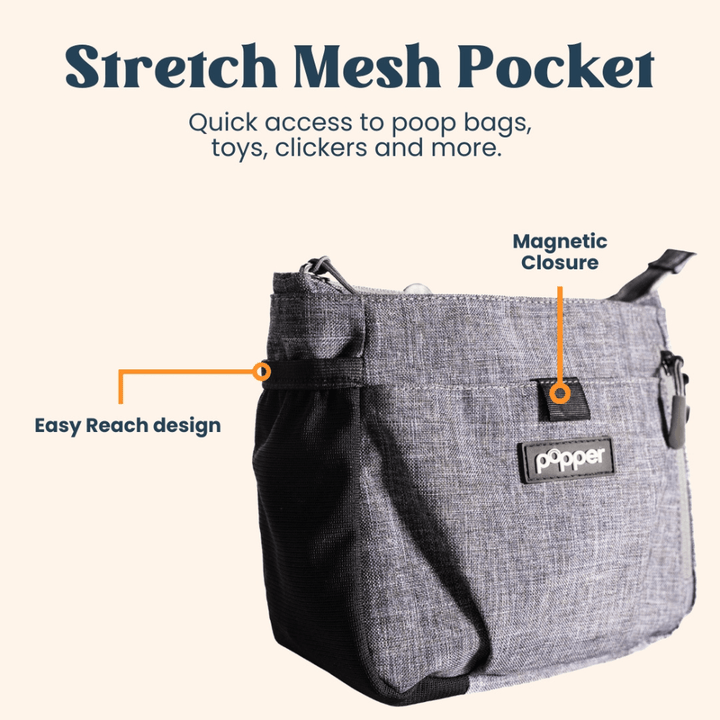 Focus Treat Pouch by Popper Pets