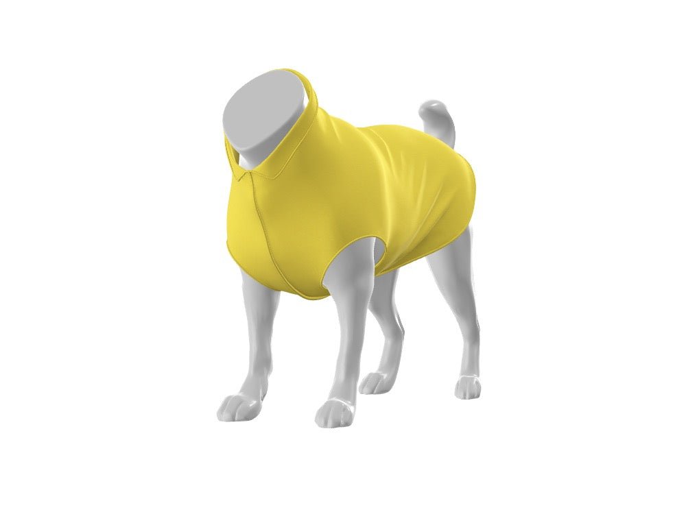 GoldPaw - Custom Design