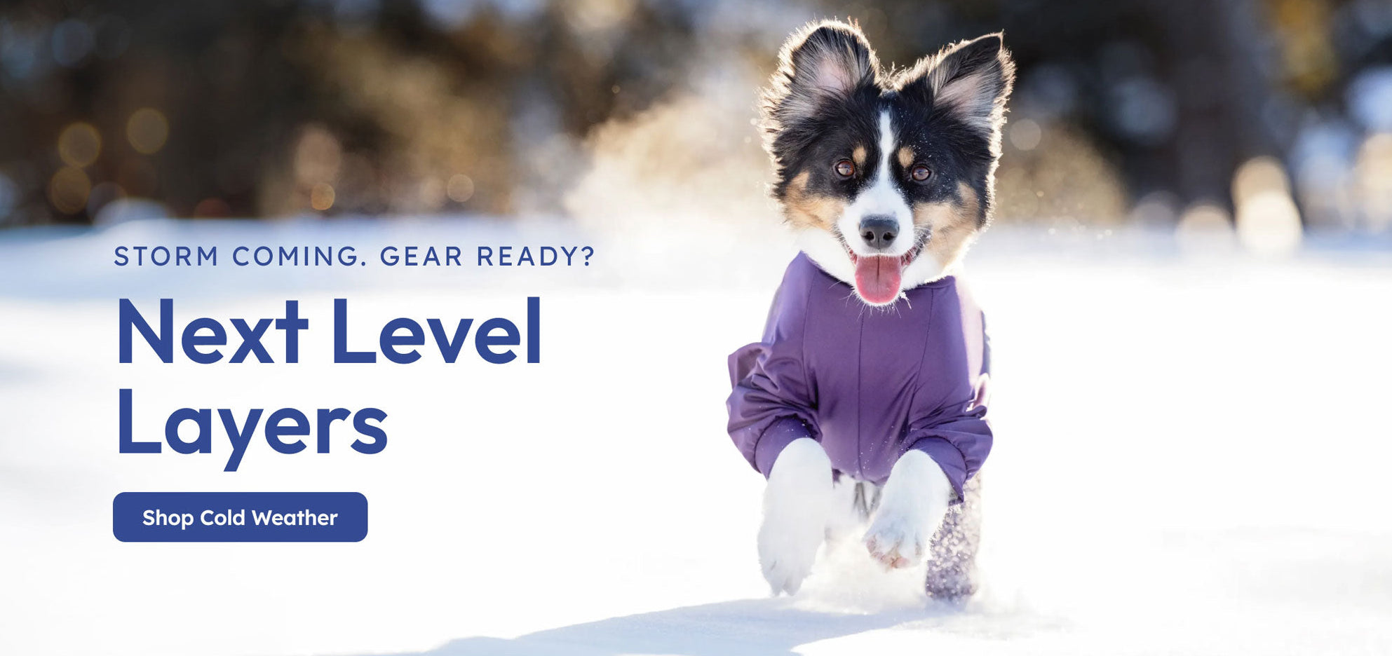 custom-slideshow-image-desktop-block_VmwF3Q