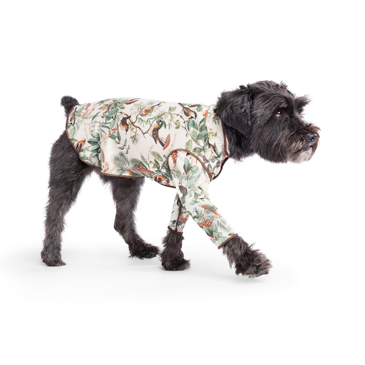 Limited Edition Long Sleeve Tee