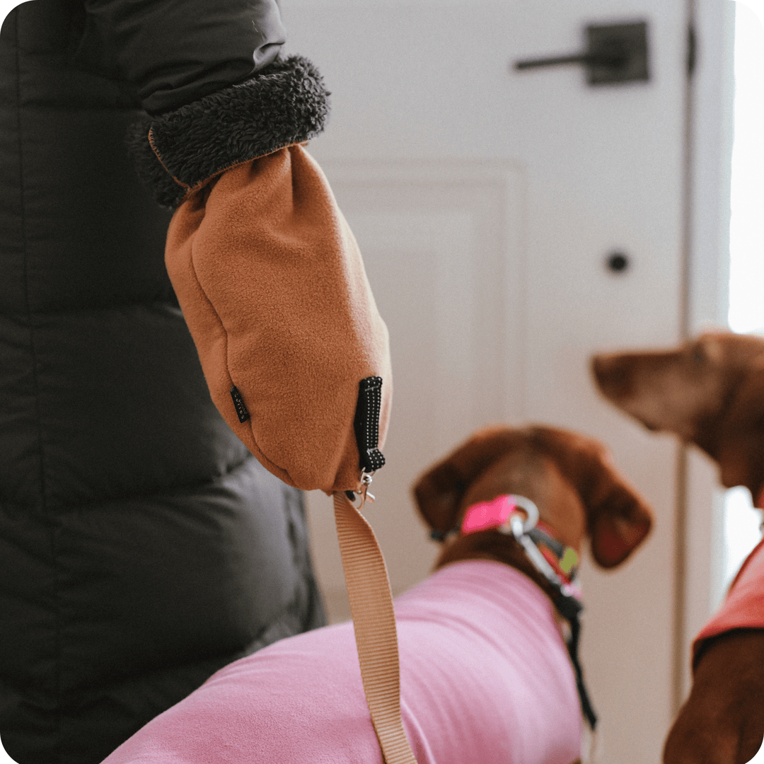 Leash Mitt