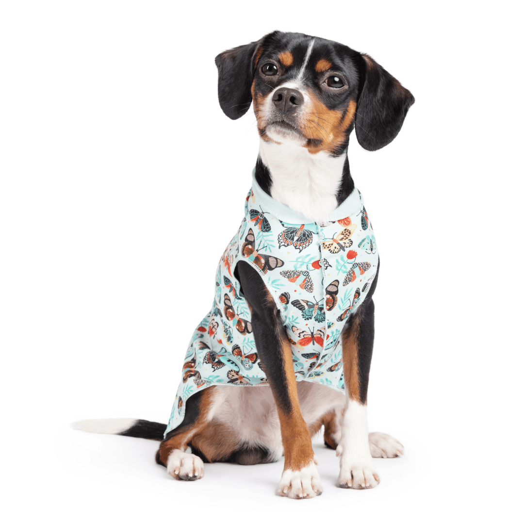 A dog sits wearing a multicolored patterned Sun Tee in front of a white background