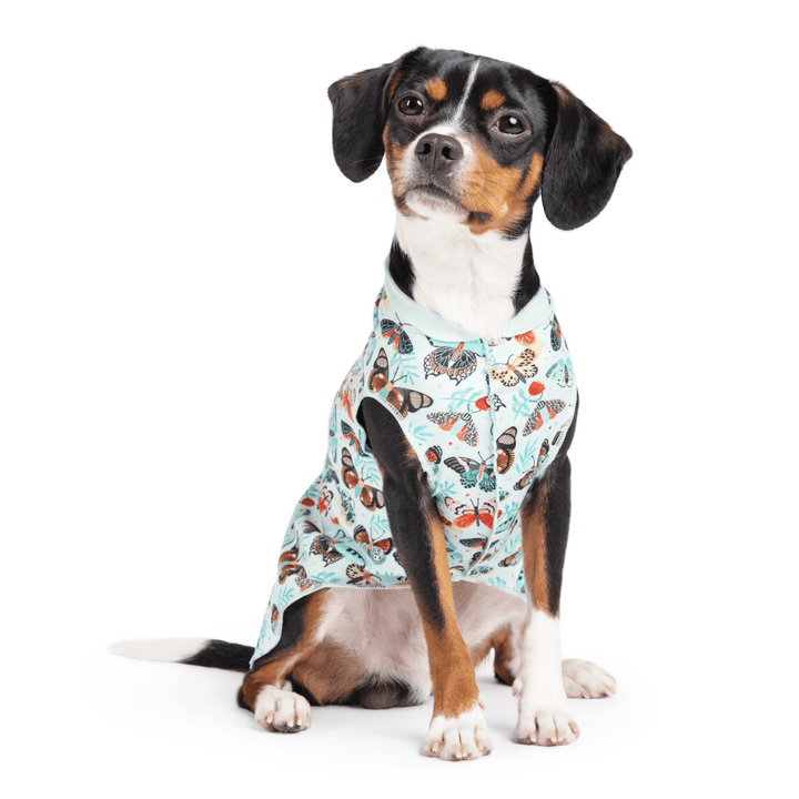 A dog sits wearing a multicolored patterned Sun Tee in front of a white background