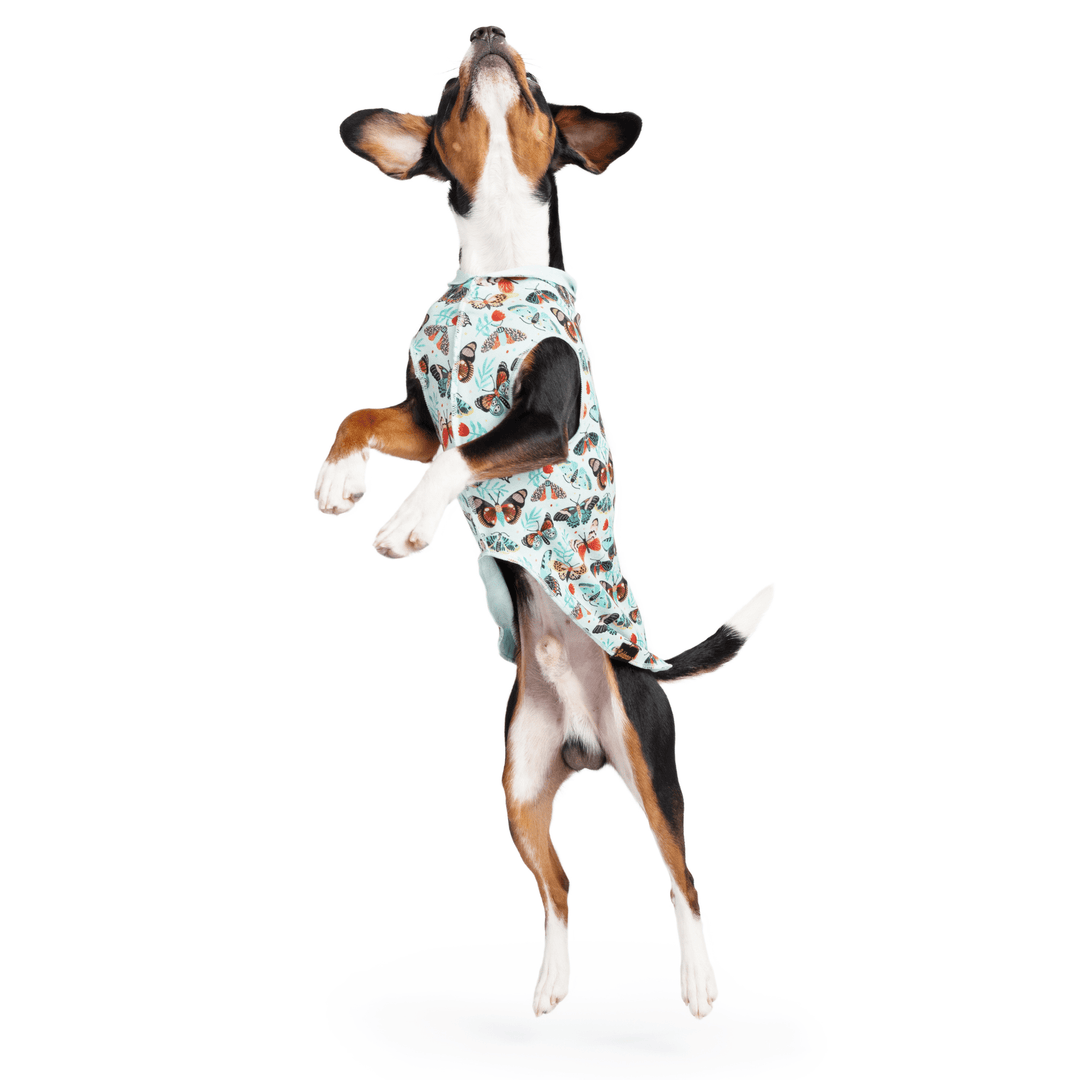 A dog jumps wearing a multicolored patterned Sun Tee in front of a white background