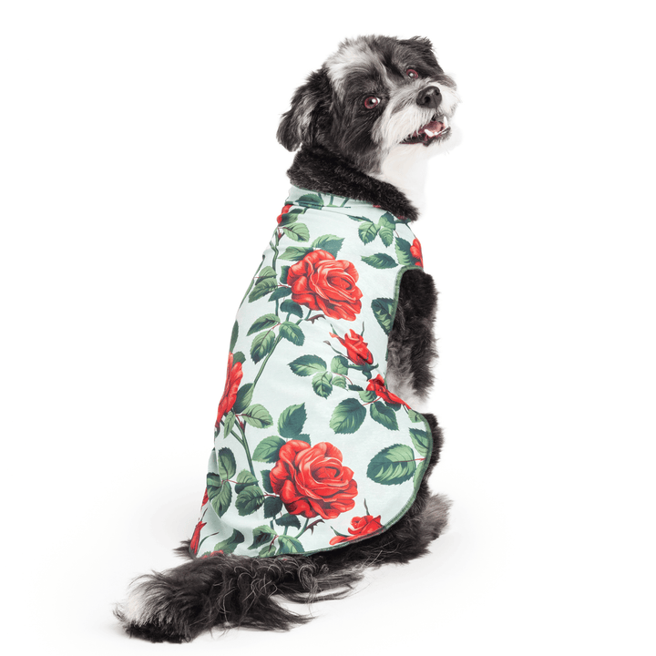 Dog sitting wearing a blue Sun Tee  with large red roses on a white background