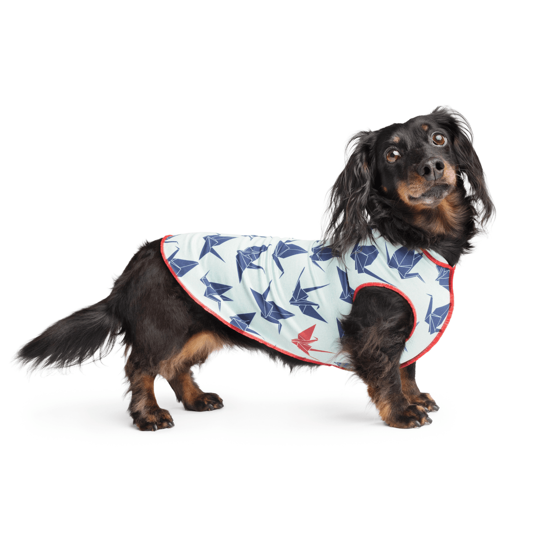 Mini Dachshund wearing an origami crane patterned Sun Shield Tee on a white background