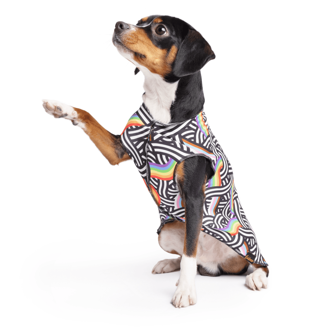 A dog sits wearing a multicolored geometric pattern Sun Tee in front of a white background