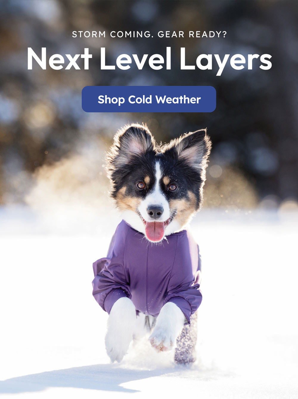 custom-slideshow-image-mobile-block_VmwF3Q