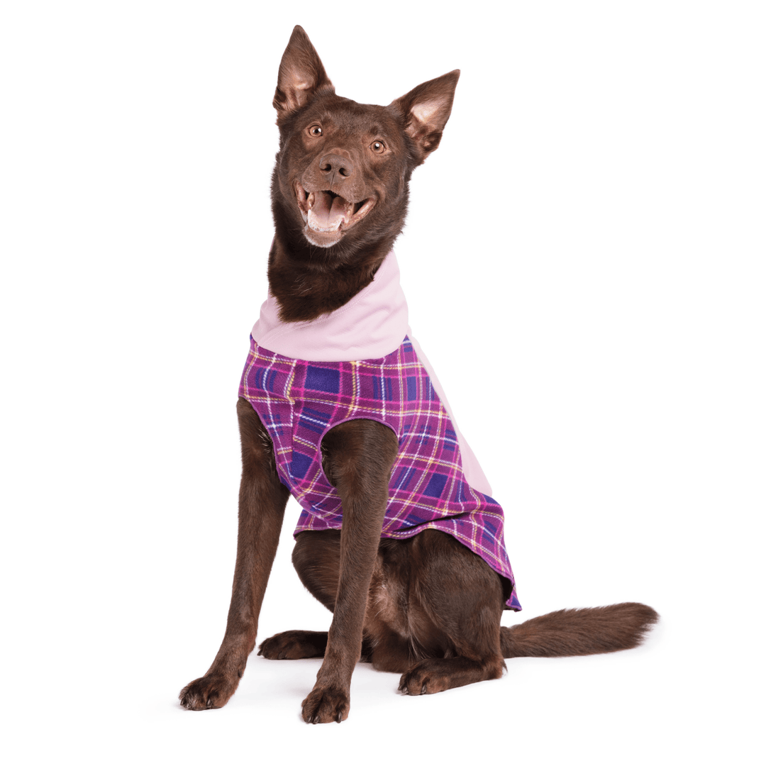 A koolie wearing a purple and pink plaid rain coat