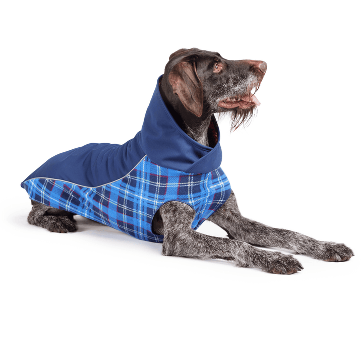 A dog wearing a blue plaid rain coat