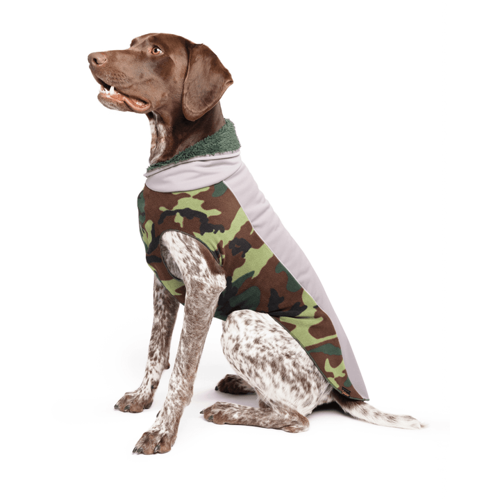 A dog wearing a camouflage rain coat