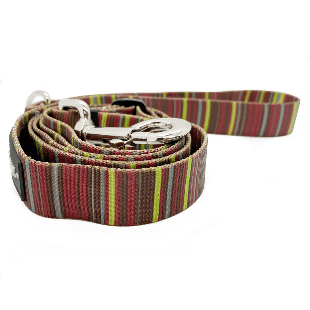 A multicolored striped adjustable leash in front of a white background