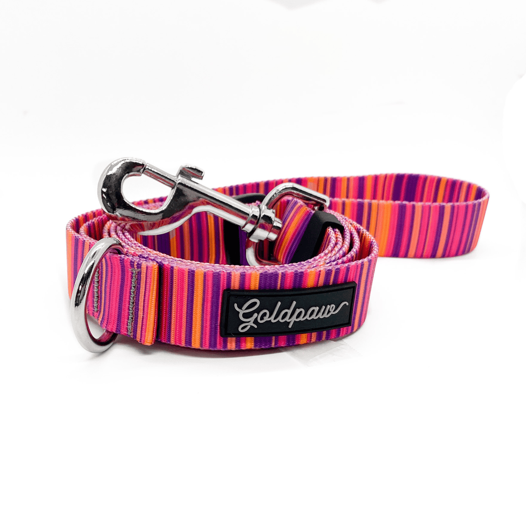 A pink striped mulicolor adjustable leash in front of a white background