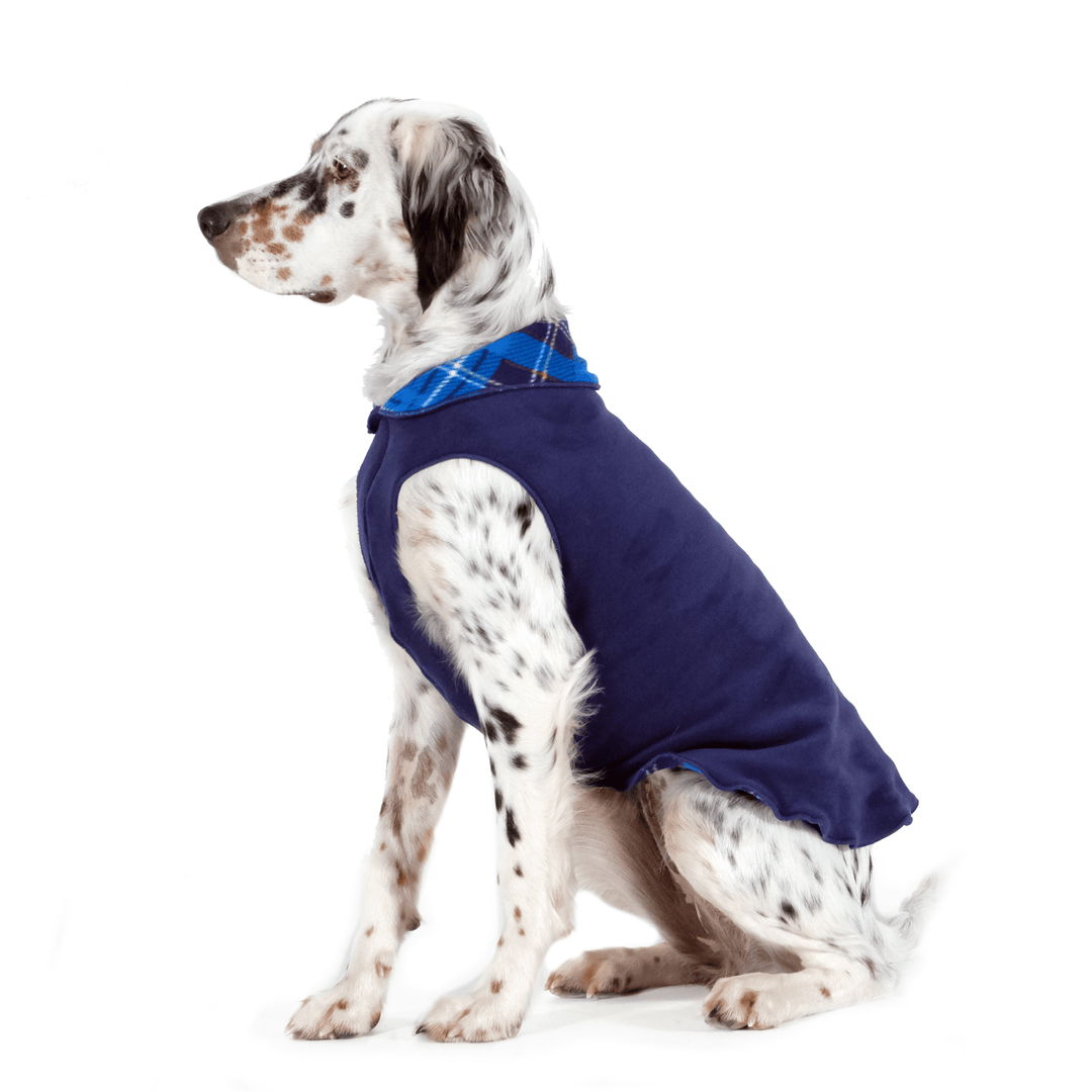 A setter sits while wearing a Navy and Blue Plaid double fleece in front of a white background