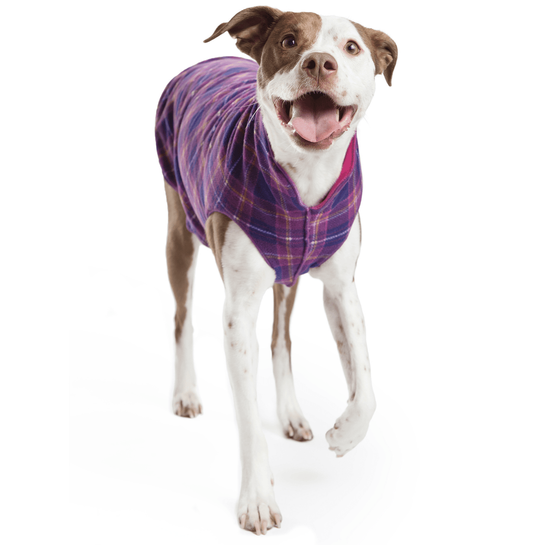 A dog stands wearing a Mulberry Plaid and fuchsia double fleece on a white background