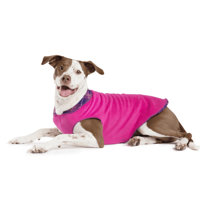 A dog lays wearing a fuchsia and mulberry plaid double fleece in front of a white background
