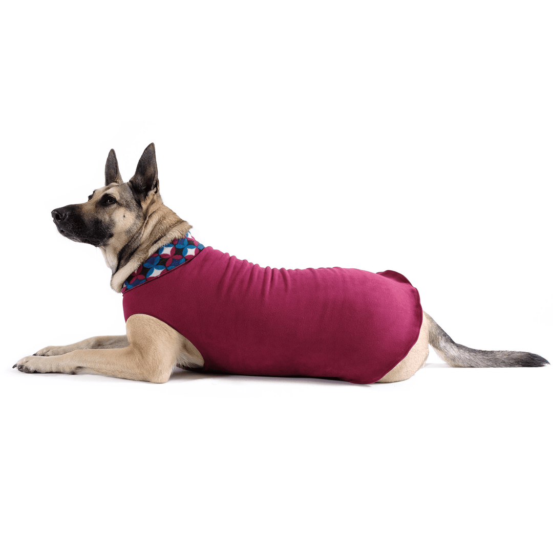 A German Shepherd laying wearing a garnet and winter mod pattern Double Fleece in front of a white background
