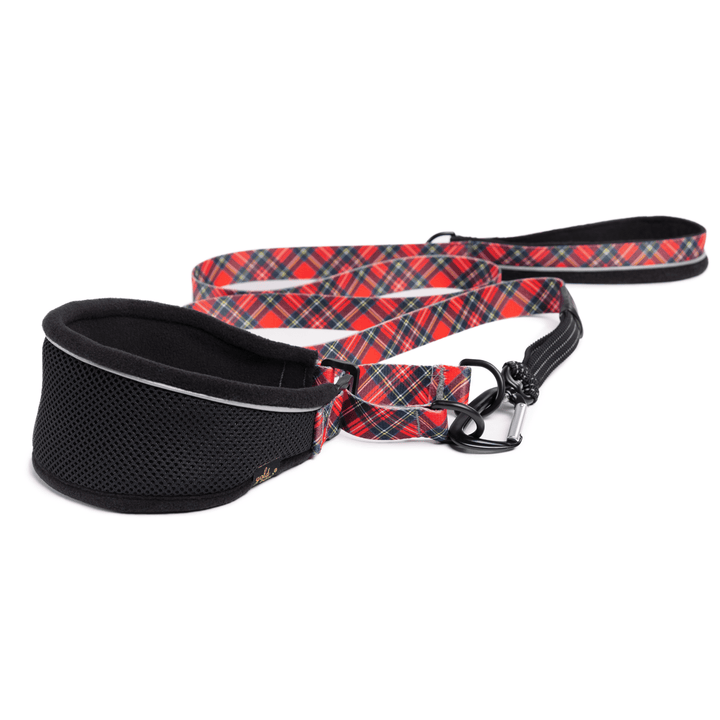 A black hound martingale collar with red plaid straps and a matching leash in front of a white background.