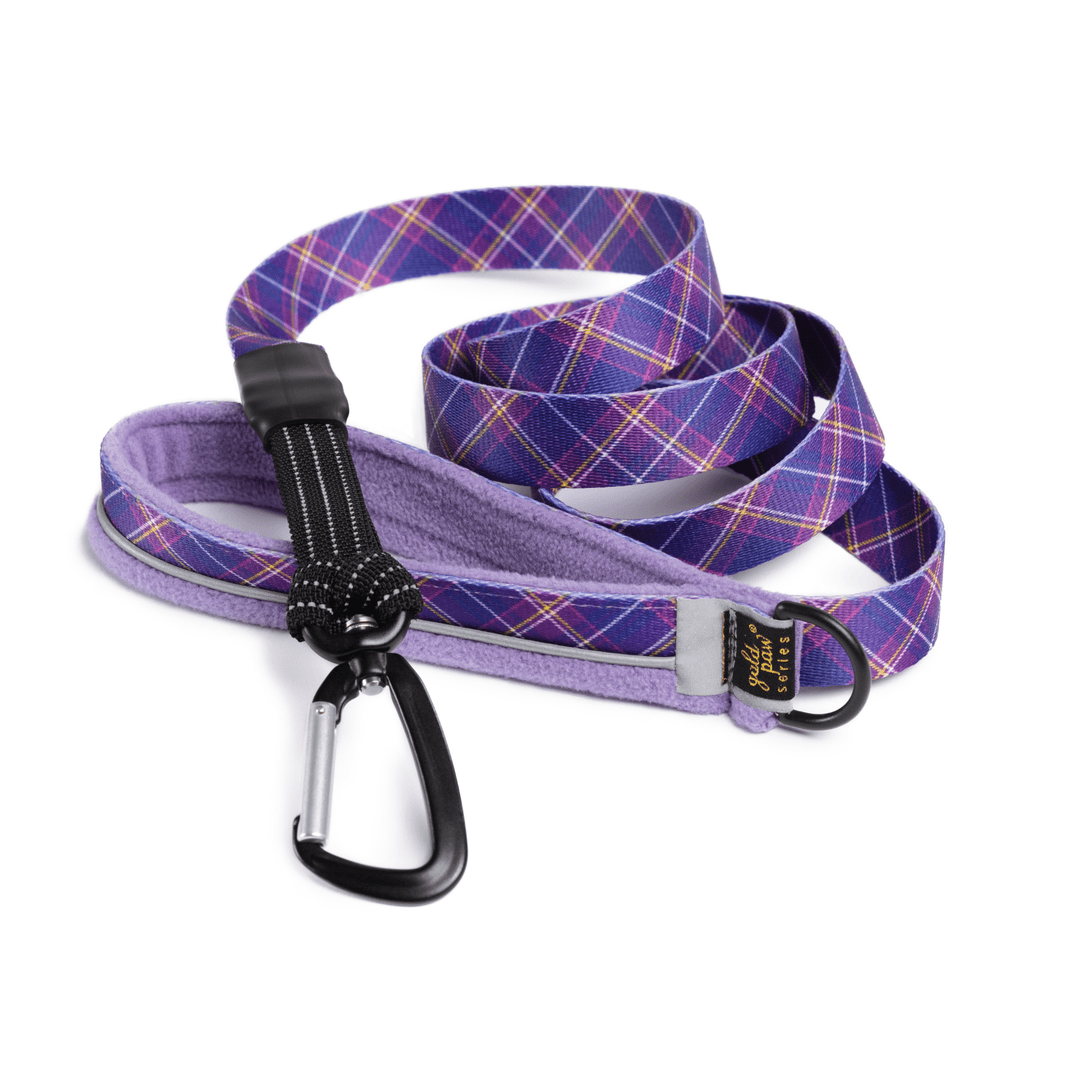 A Mulberry Plaid leash in front of a white background