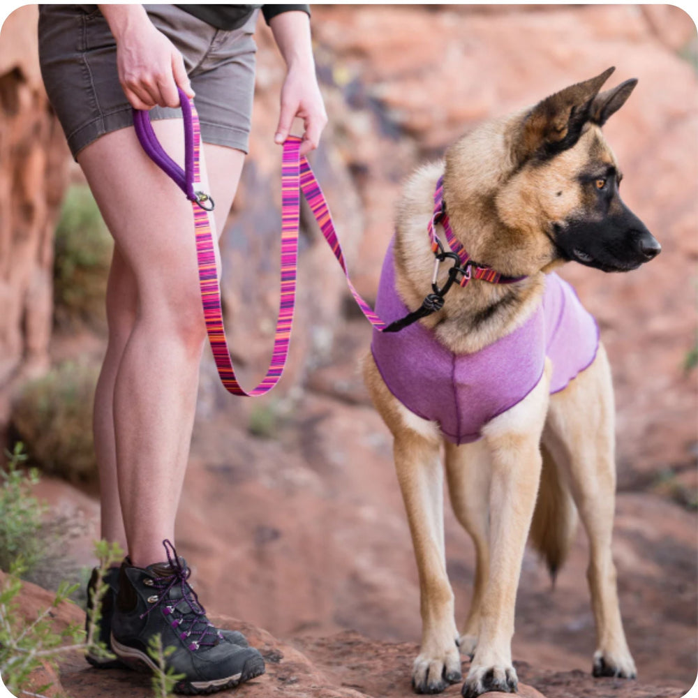A woman stands holding a multicolored striped leash attached to a German Shepherd wearing a matching collar and a violet sun tee in a canyon