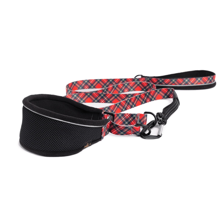 A Black hound martingale collar with red plaid straps and a matching red plaid leash in front of a white background