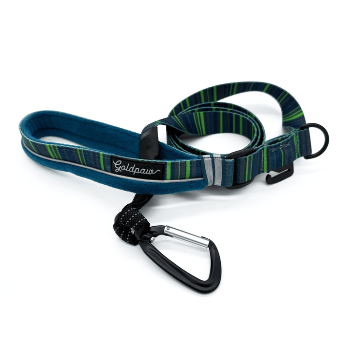 Blue and green striped dog leash with carabiner on a white background