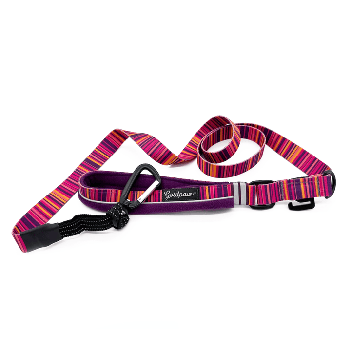 Striped dog leash with purple handle on a white background