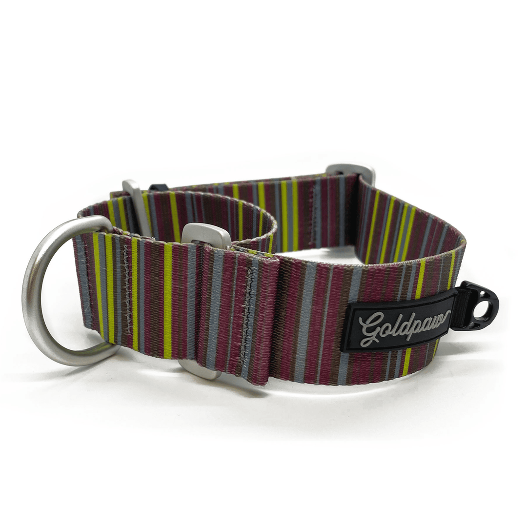 A brown and green striped dog collar with a Goldpaw logo on a white background