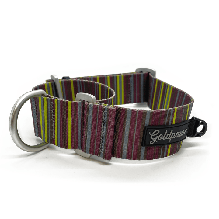 A brown and green striped dog collar with a Goldpaw logo on a white background