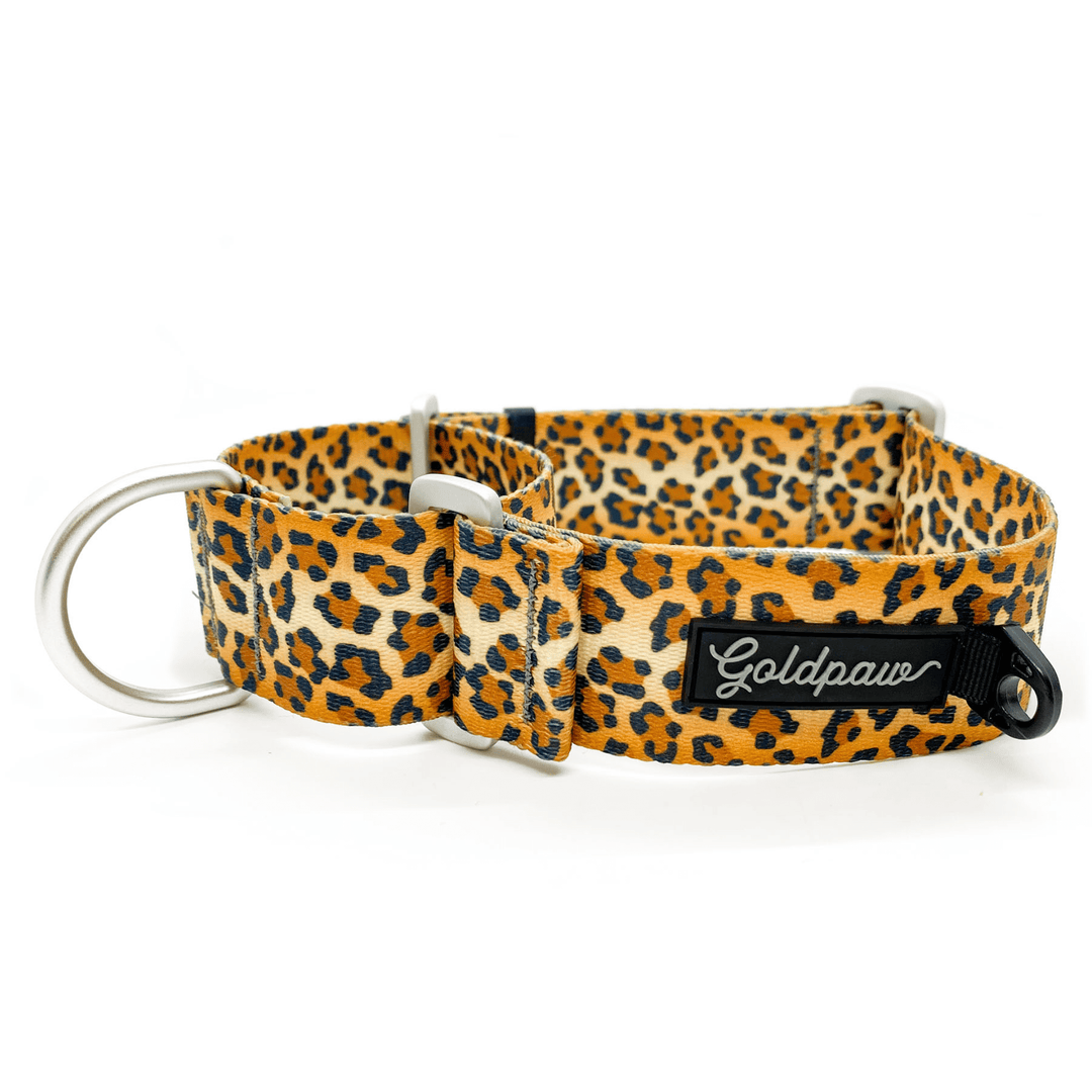 A leopard dog collar with a Goldpaw logo on a white background