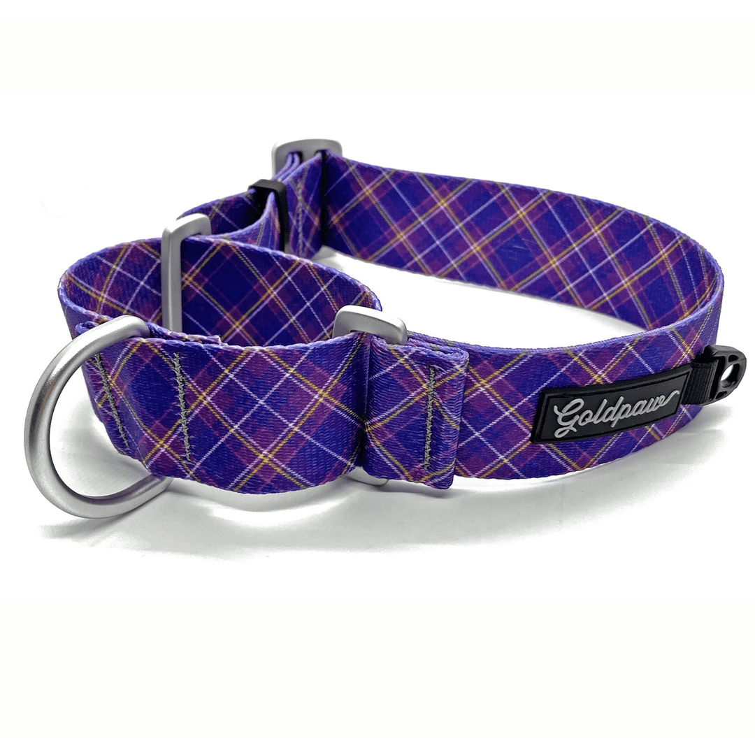 A mulberry plaid dog collar with a Goldpaw logo on a white background