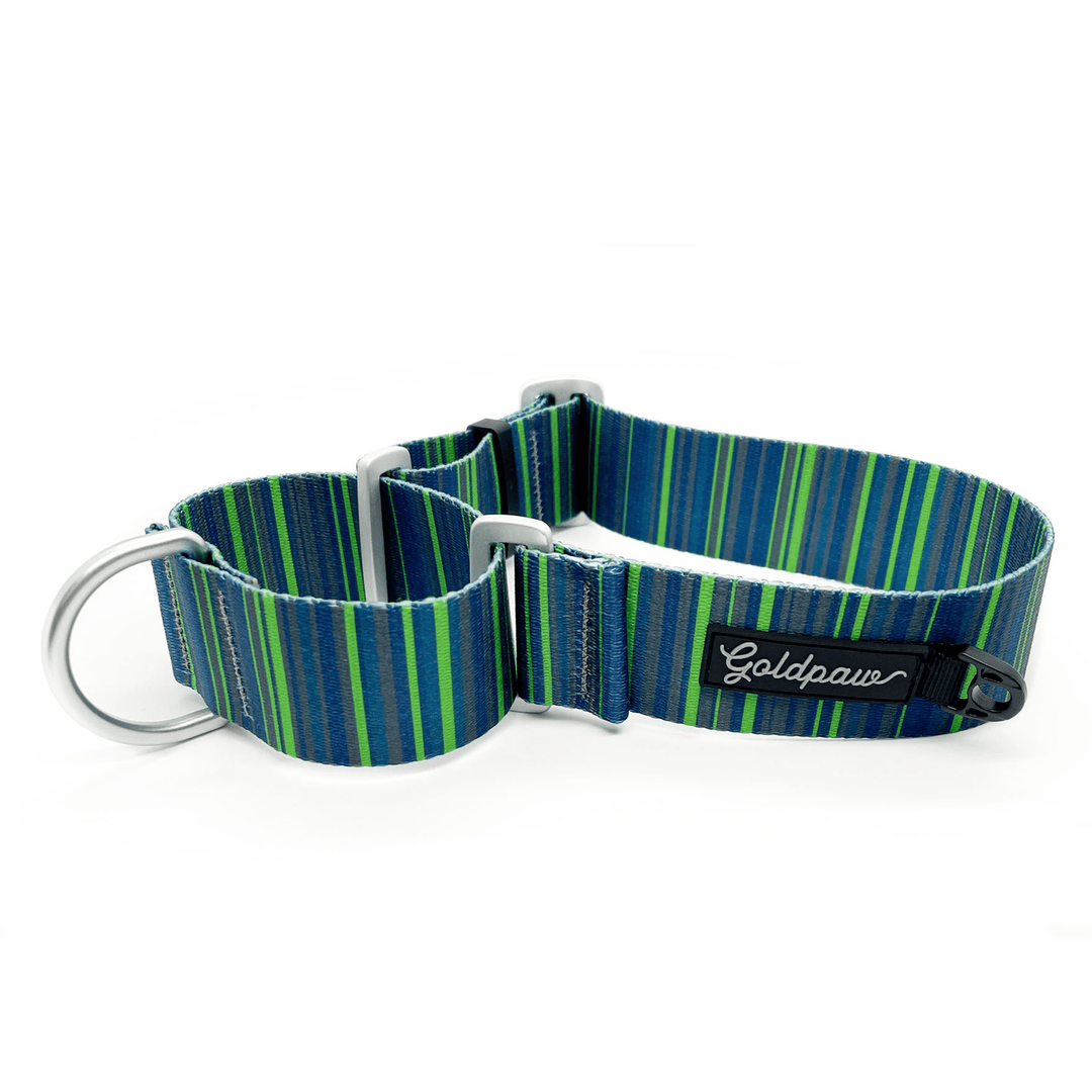 A blue and green striped dog collar with a Goldpaw logo on a white background