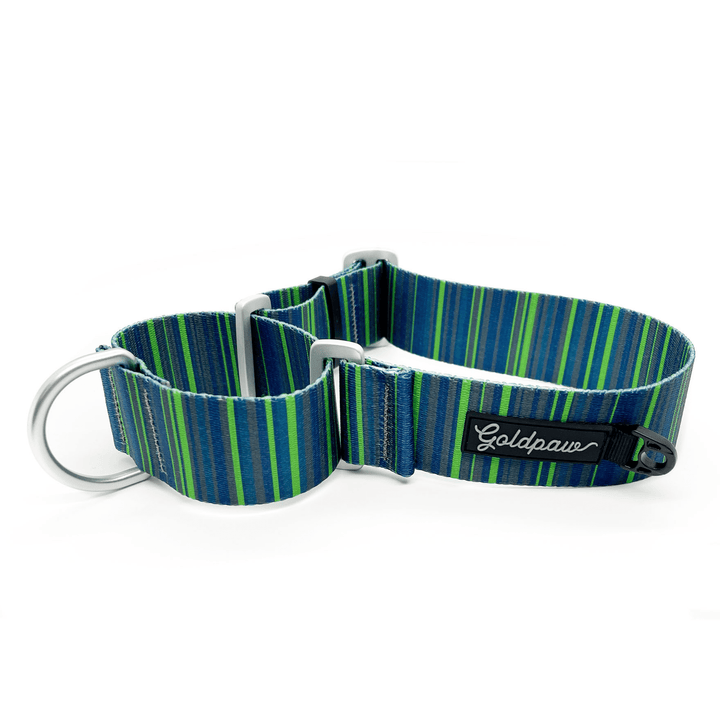 A blue and green striped dog collar with a Goldpaw logo on a white background