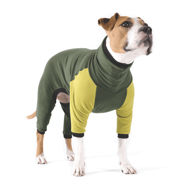 A dog stands wearing a hunter green onesie with avocado green front legs in front of a white background