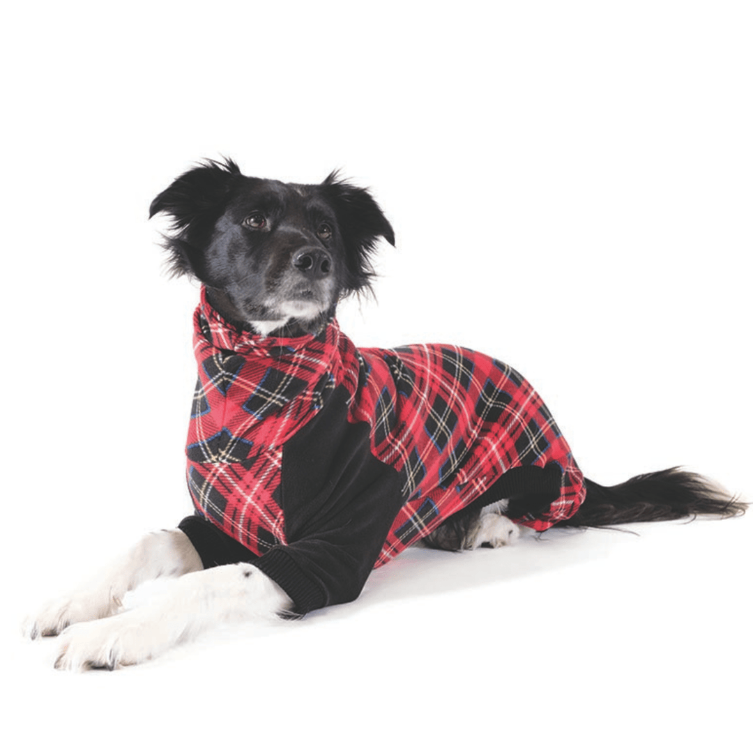 A border collie lays wearing a red plaid onesie with black front legs in front of a white background
