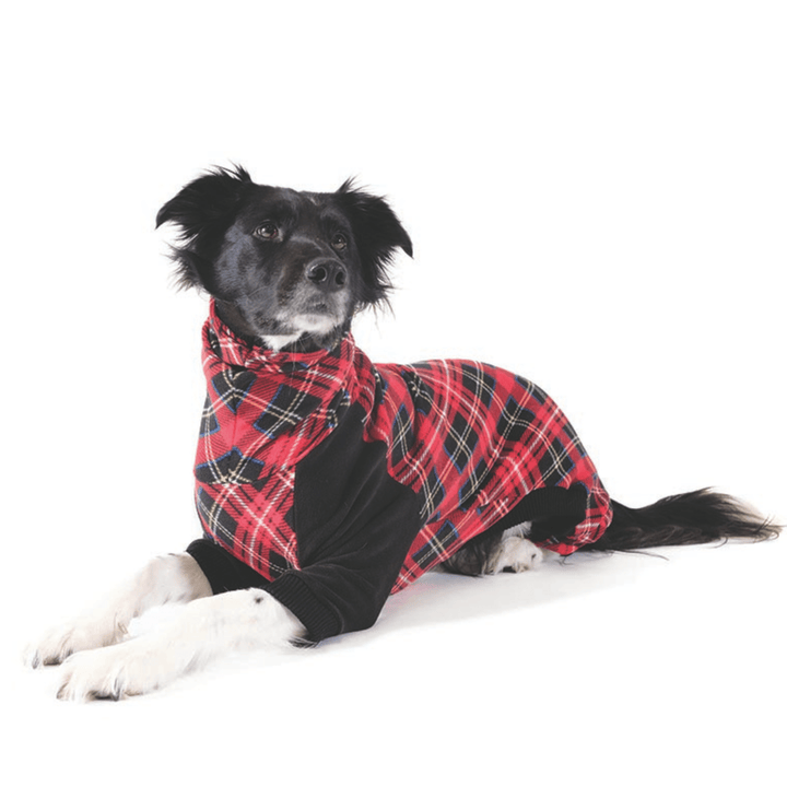A border collie lays wearing a red plaid onesie with black front legs in front of a white background