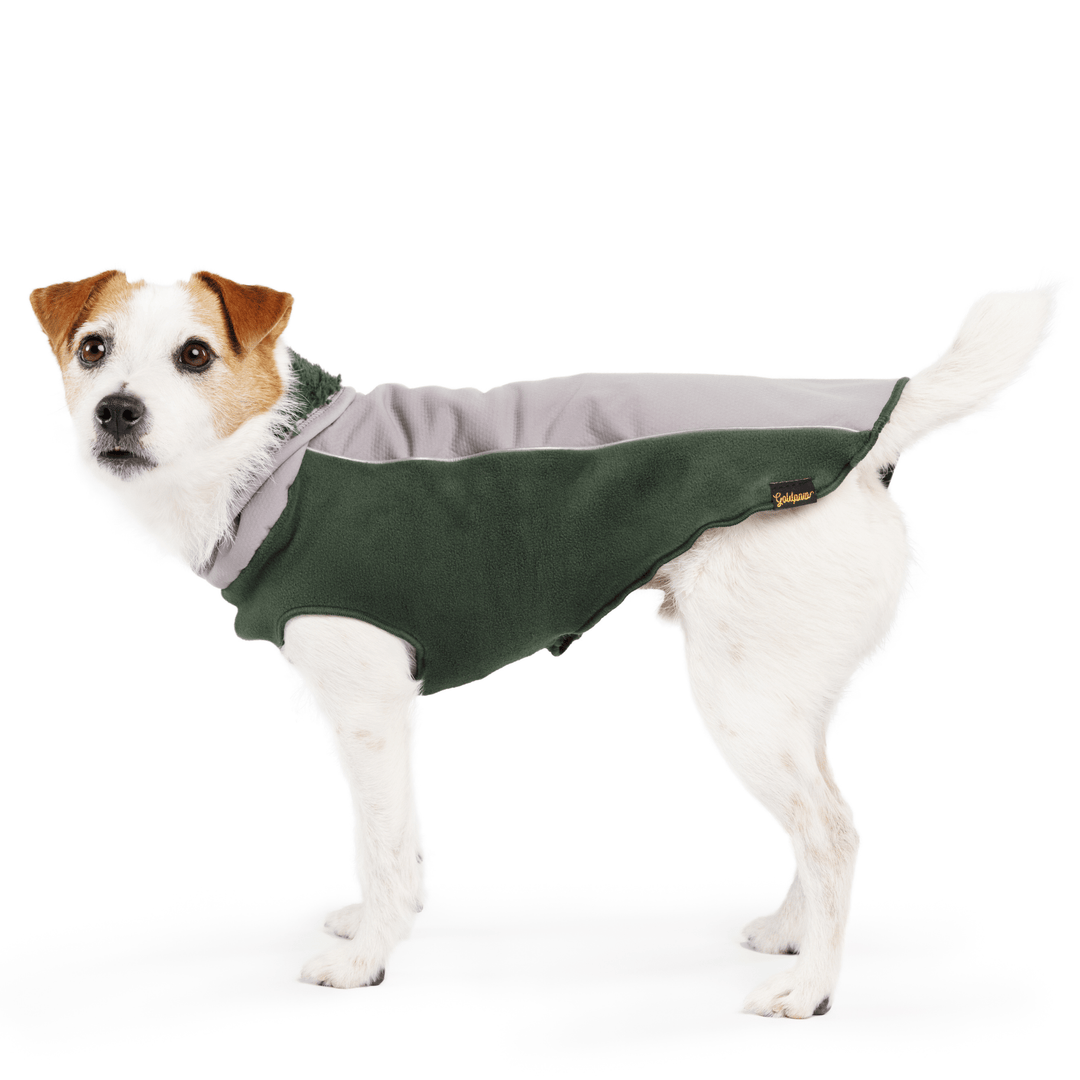 A Russell type dog stands wearing a silver and hunter green Portland Pullover in front of a white background