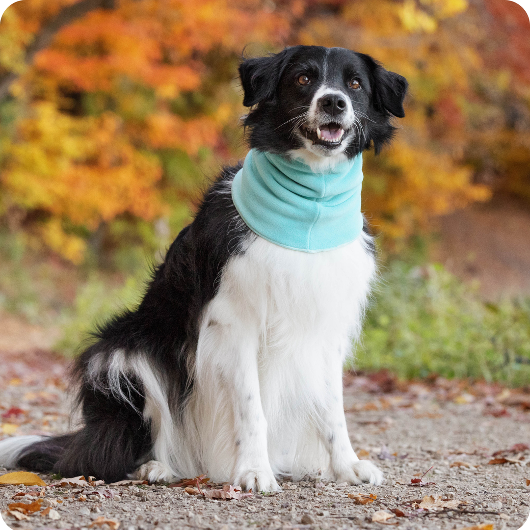 Sale - Snood