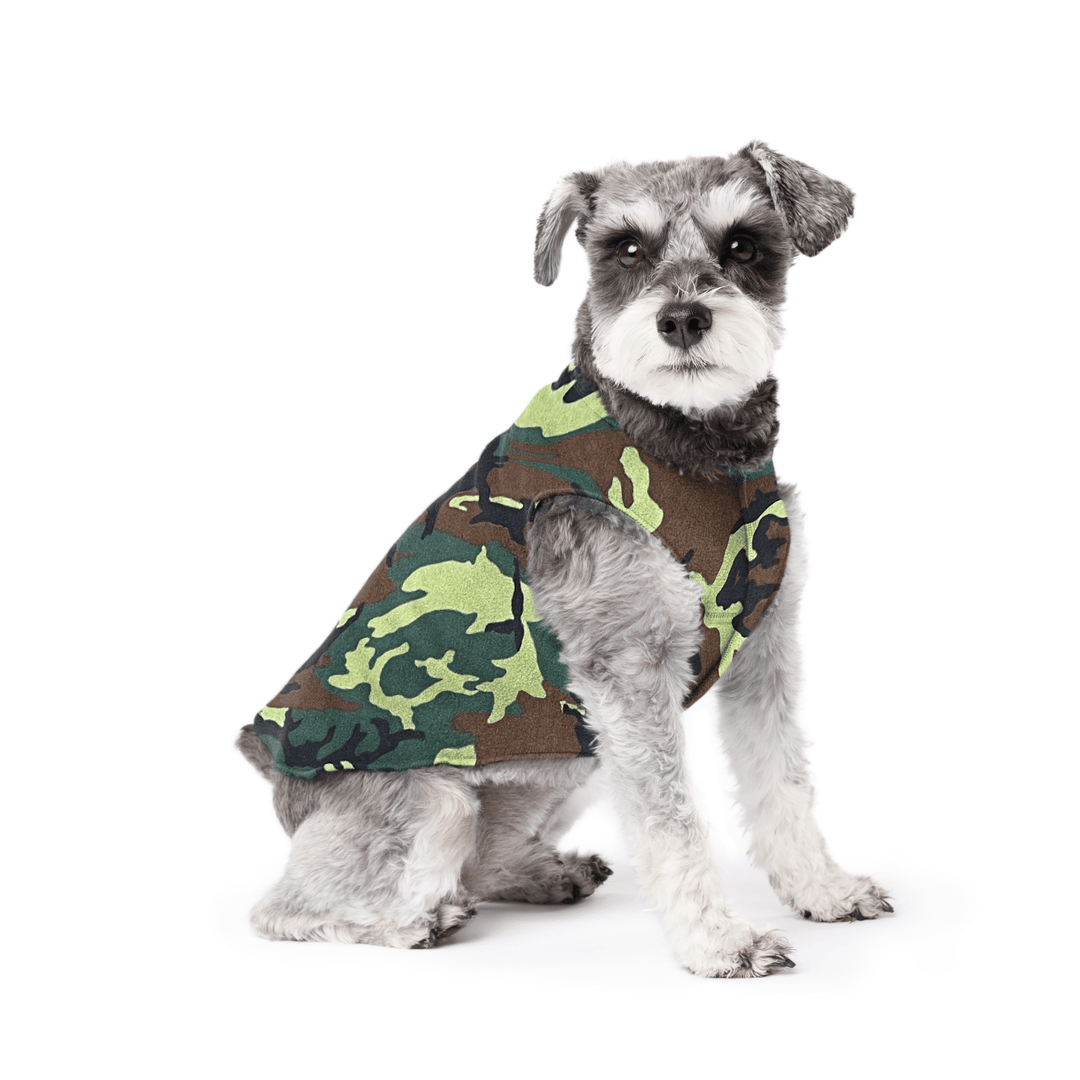 Mini Schnauzer sitting wearing a camouflage stretch fleece on a white background