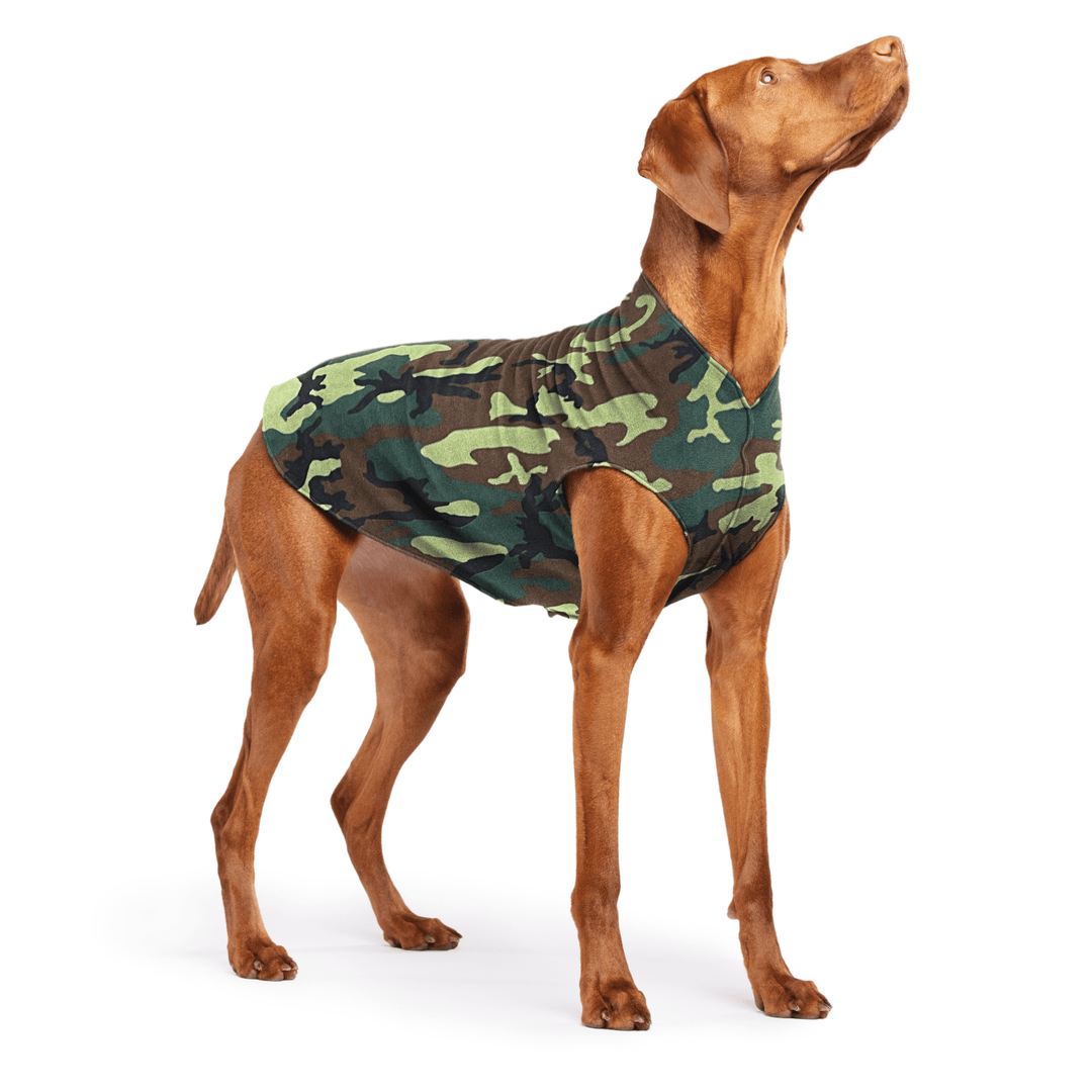 Vizsla is standing wearing a Camouflage Stretch Fleece in front of a white background