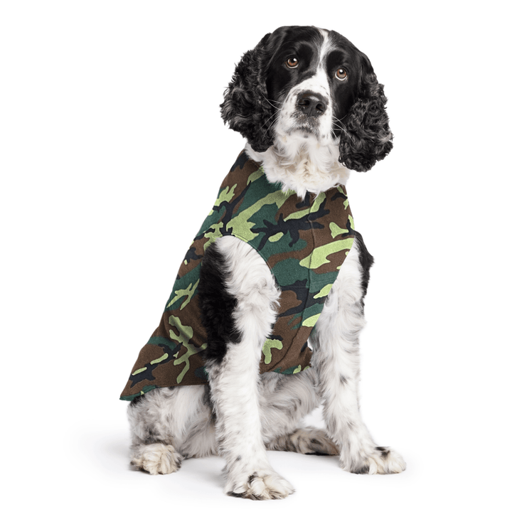 Springer Spaniel is sitting wearing a Camouflage Stretch Fleece in front of a white background