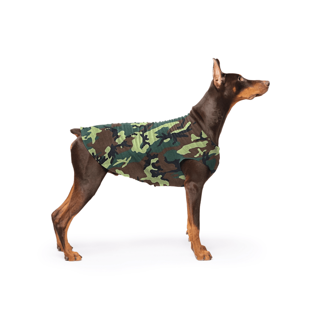 Doberman is standing wearing a Camouflage Stretch Fleece in front of a white background