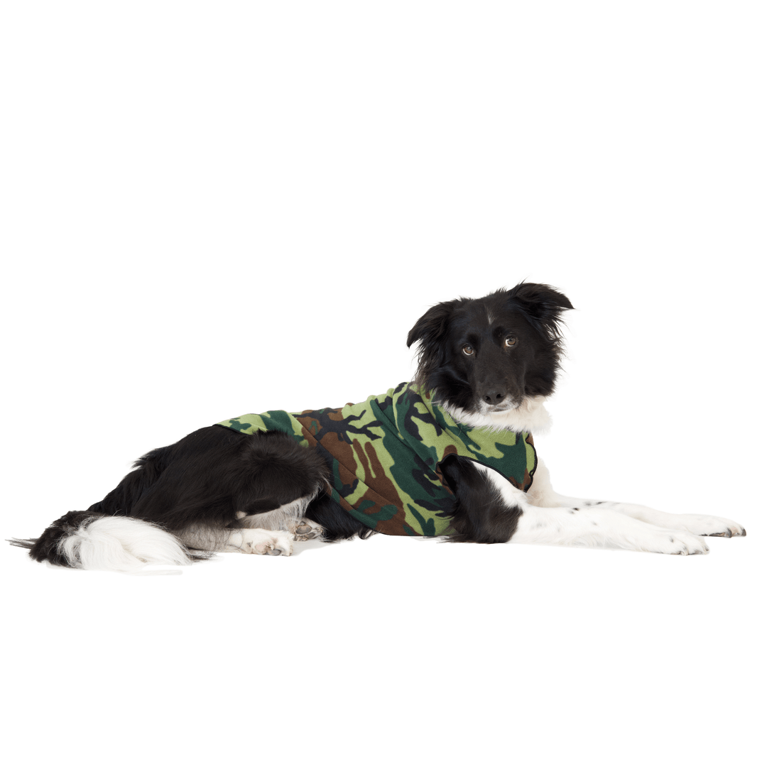A Border Collie lays wearing a camouflage stretch fleece in front of a white background