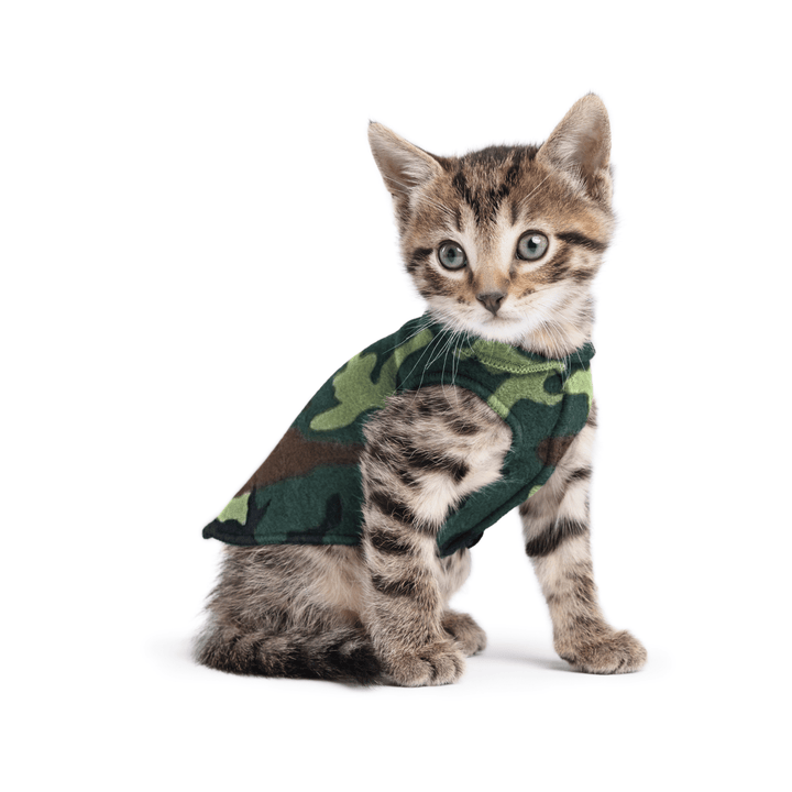 A kitten sitting wearing a camouflage stretch fleece on a white background