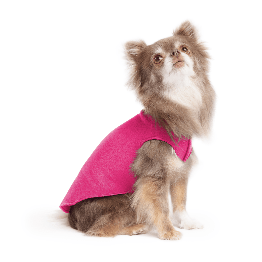 A long haired Chihuahua sits wearing a Fuchsia Stretch fleece in front of a white background. 