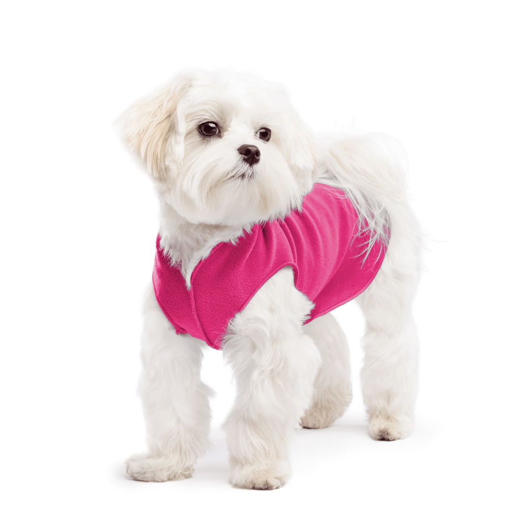 A Maltese stands wearing a Fuchsia Stretch fleece in front of a white background. 