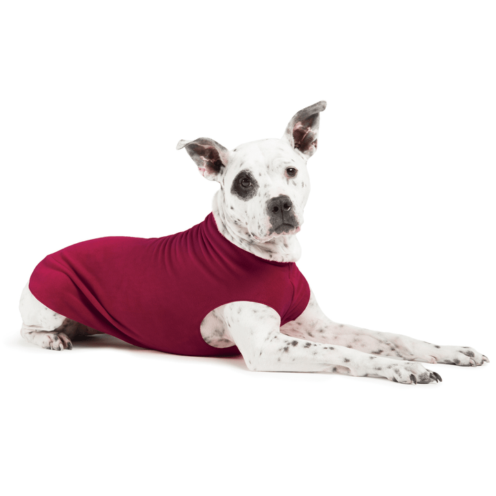 A dog lays wearing a Garnet Stretch fleece in front of a white background. 