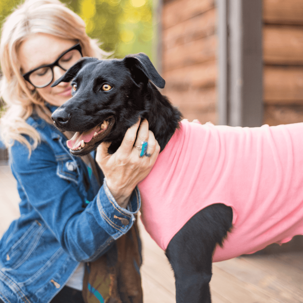 A black dog stands wearing a coral pink stretch fleece with its owner petting it. They are outside.