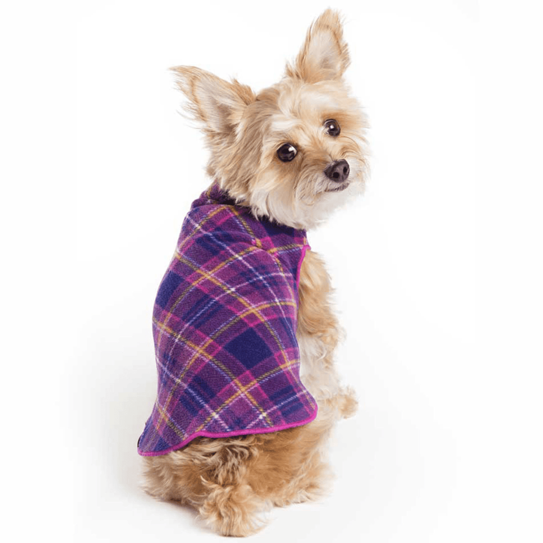 A Yorkshire Terrier sits wearing a Mulberry Plaid Stretch fleece in front of a white background. 